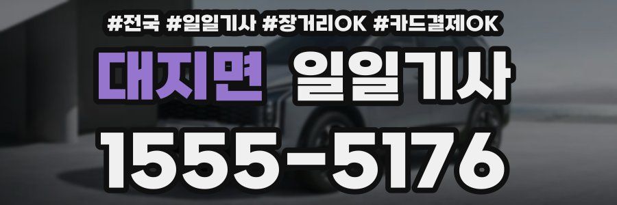 대지면 일일기사