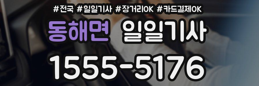 동해면 일일기사