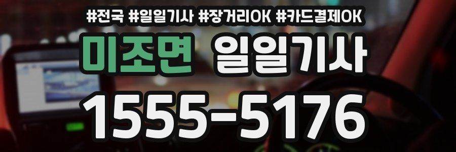 미조면 일일기사