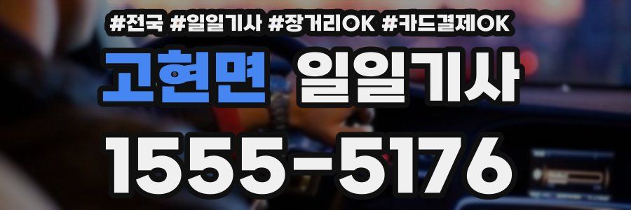 고현면 일일기사