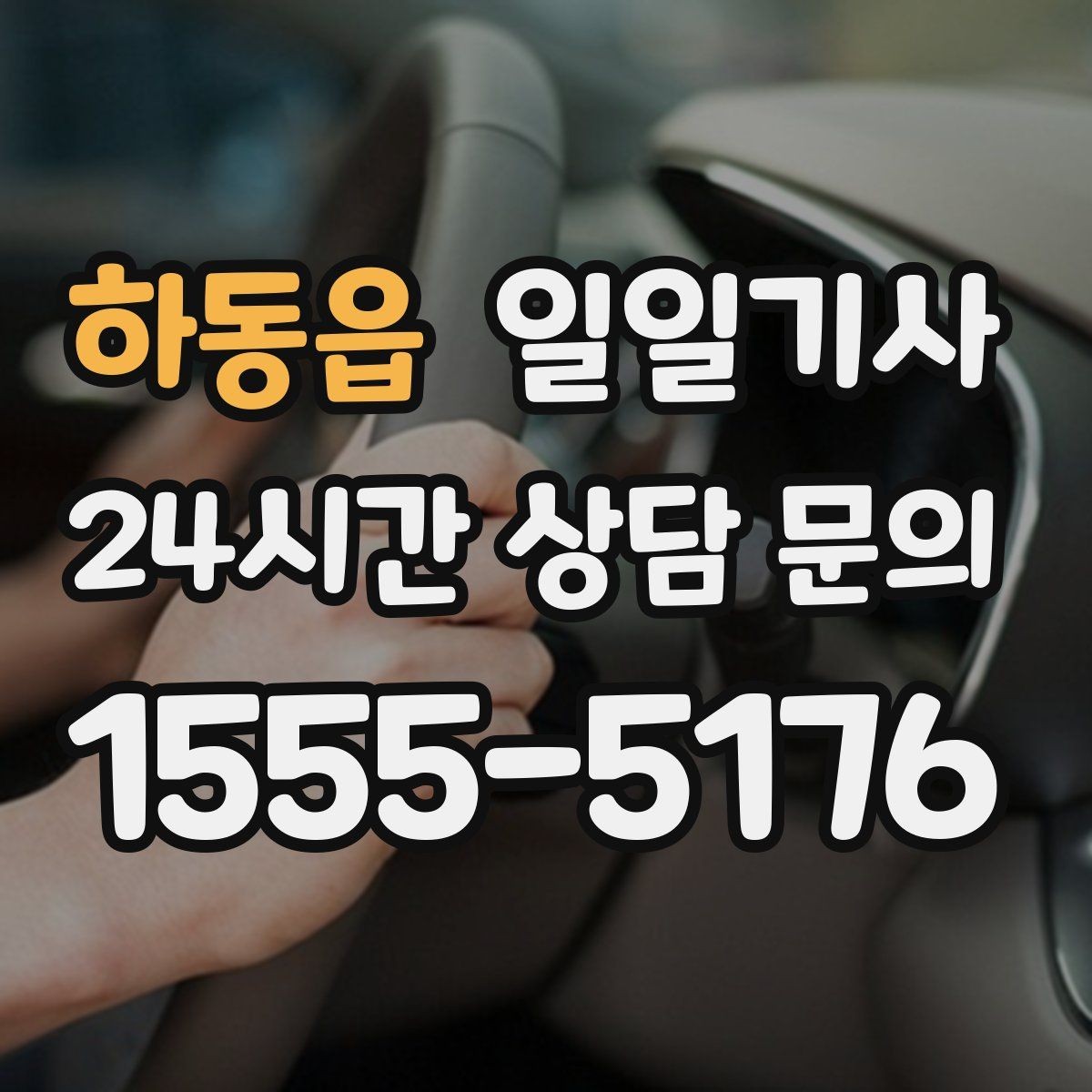하동읍 일일기사 공항 왕복 전담 배치
