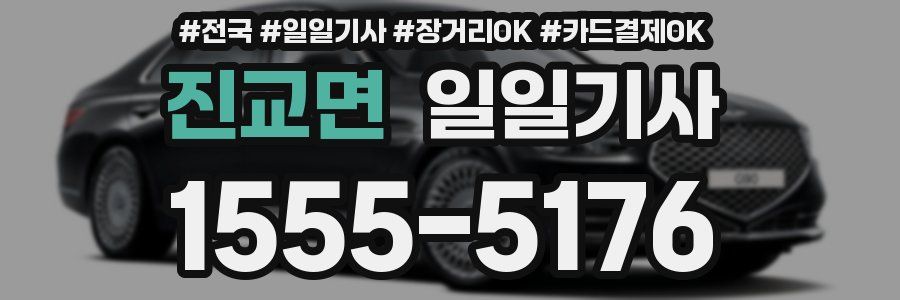 진교면 일일기사