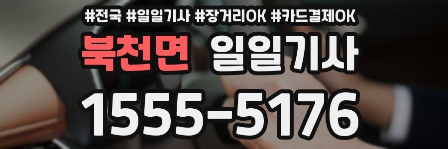 북천면 일일기사