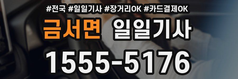 금서면 일일기사