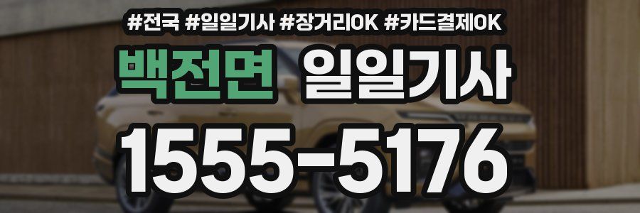 백전면 일일기사