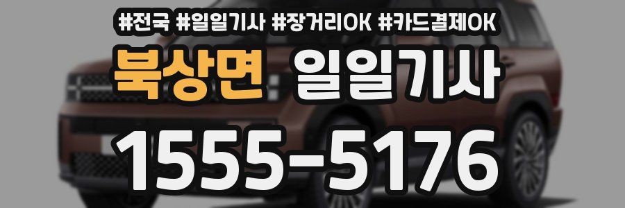 북상면 일일기사