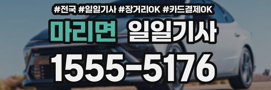 마리면 일일기사