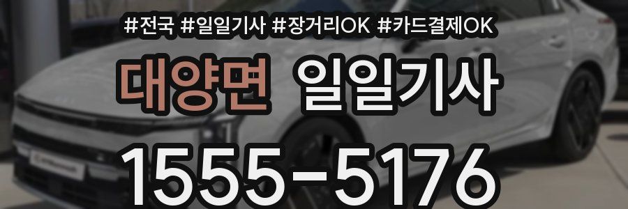 대양면 일일기사