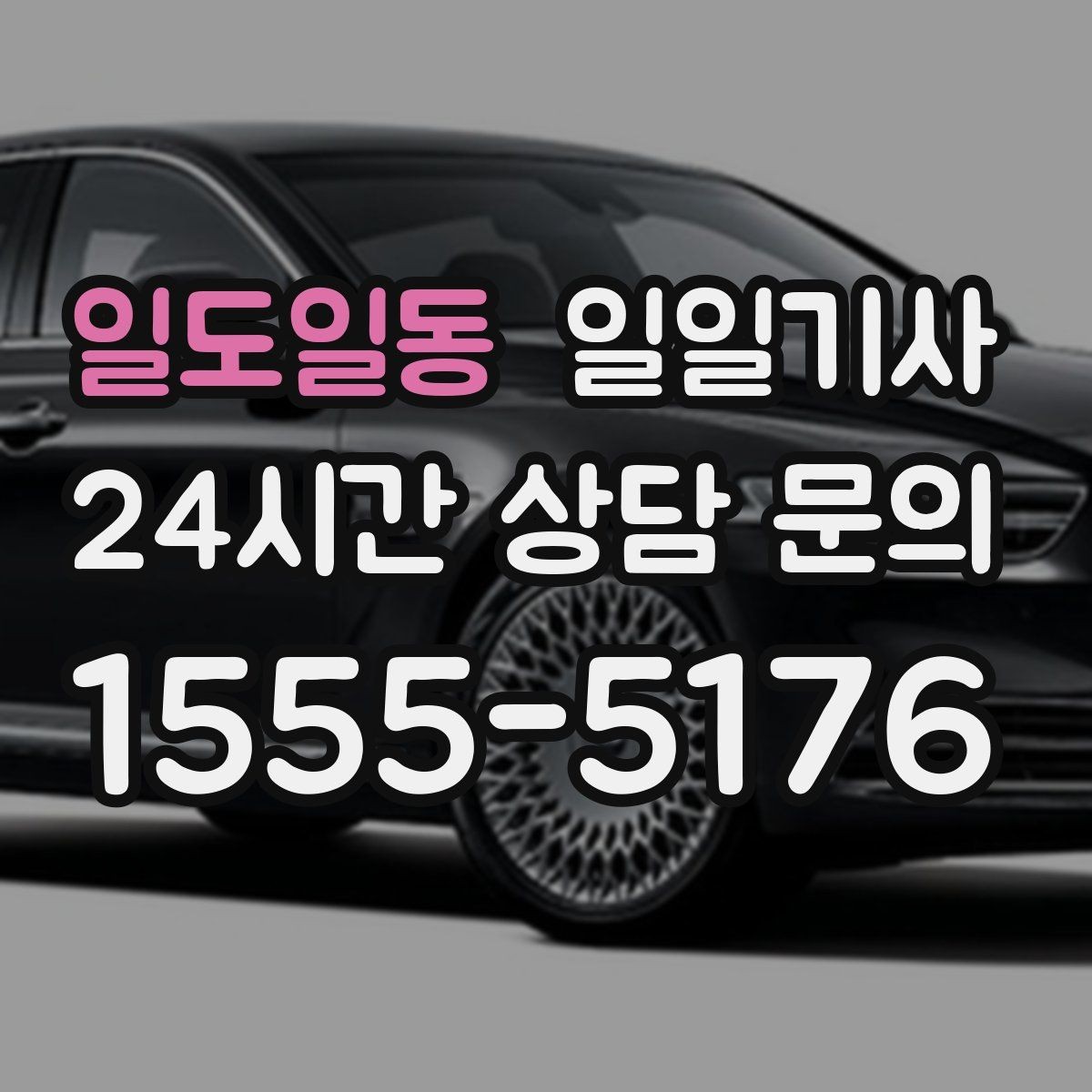 일도일동 일일기사 밝고 안전한 곳 승하차로 밤길이 든든합니다