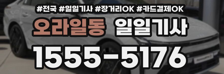 오라일동 일일기사