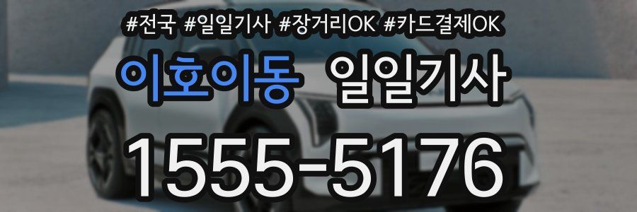 이호이동 일일기사