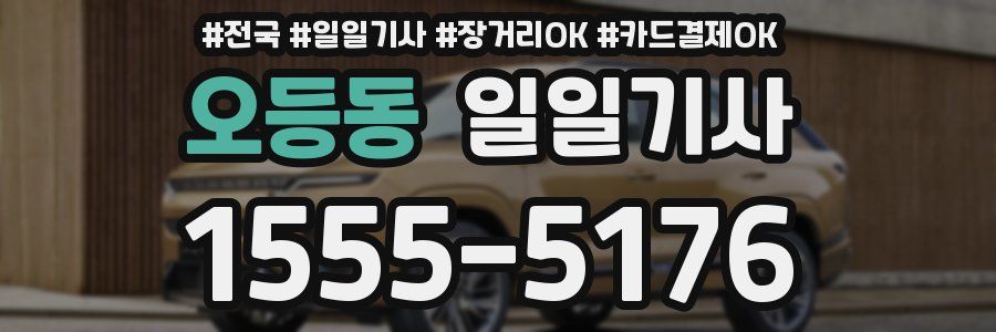 오등동 일일기사