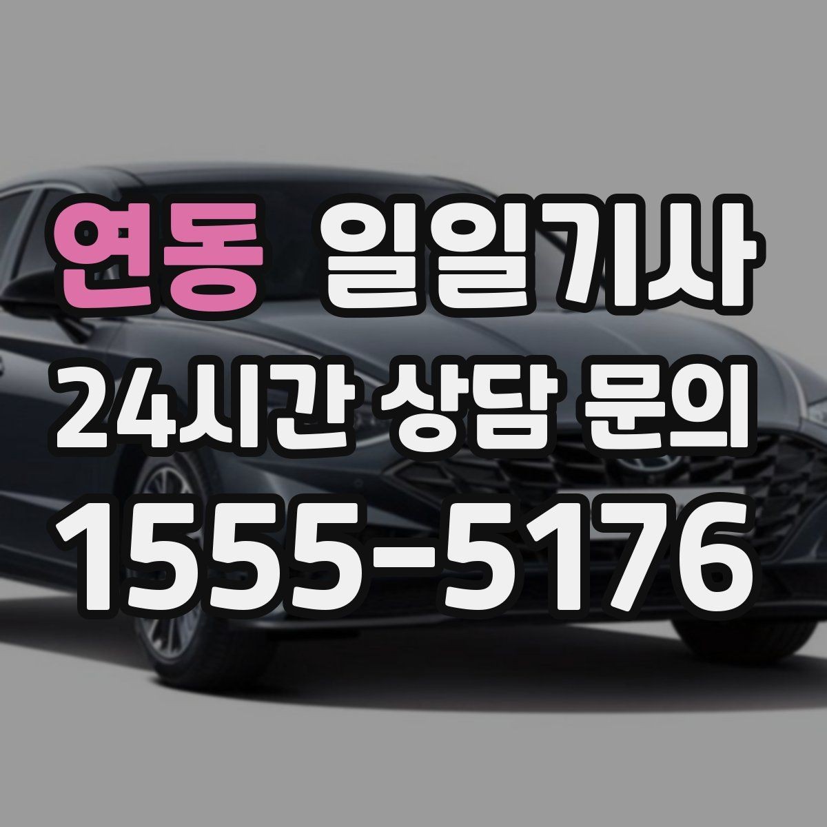연동 일일기사 편안한 주행으로 여유가 남는 저녁