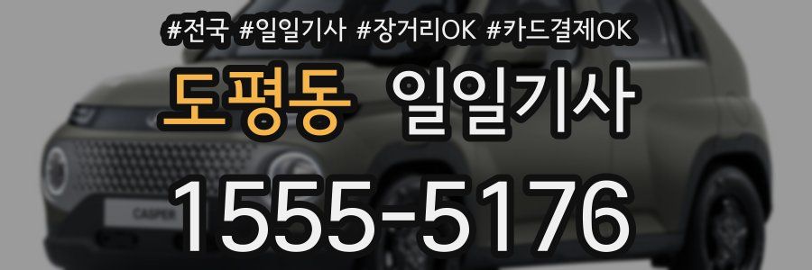 도평동 일일기사