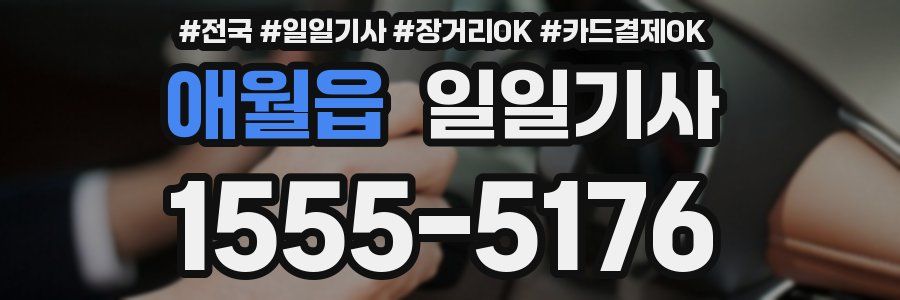 애월읍 일일기사