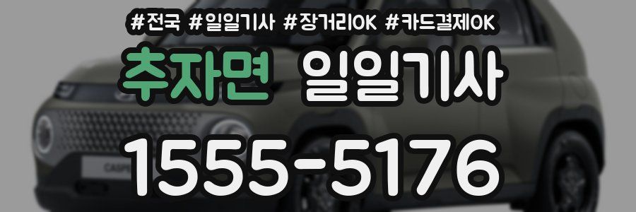 추자면 일일기사
