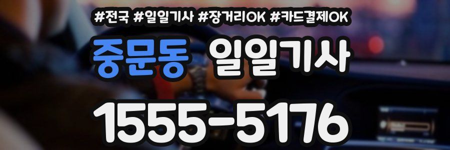 중문동 일일기사