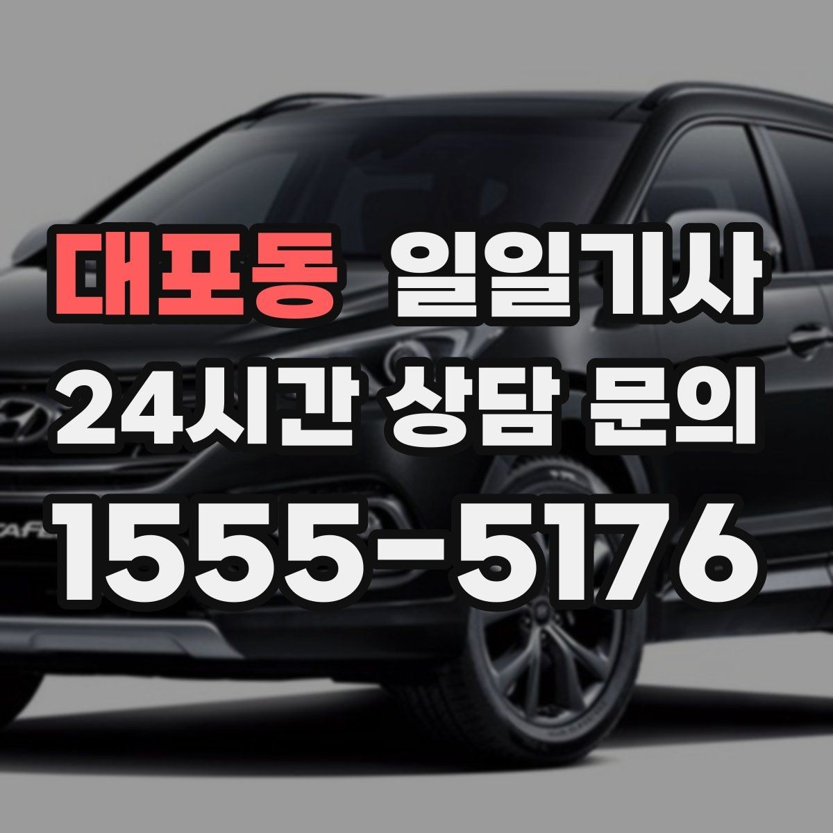 대포동 일일기사 법인 반복 일정도 안정 운영