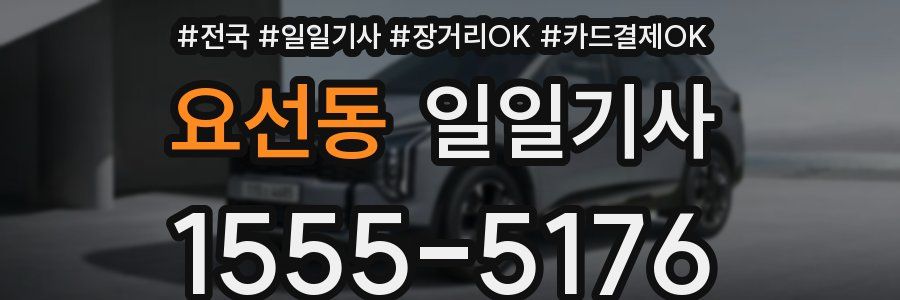 요선동 일일기사