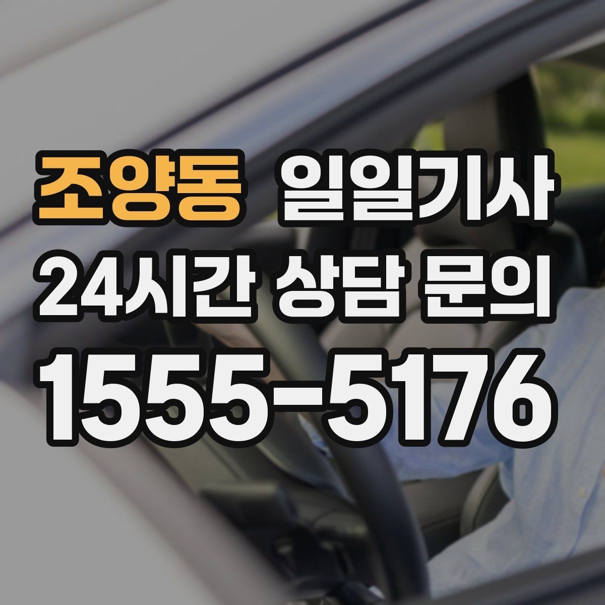 조양동 일일기사 예약 시간 정시에 도착해요