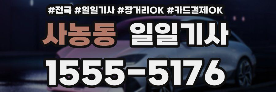 사농동 일일기사