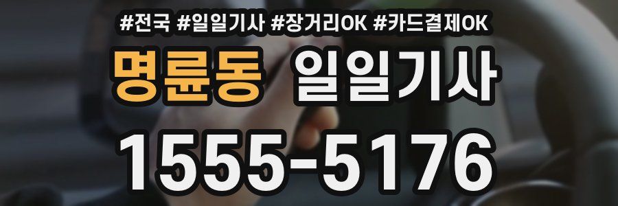 명륜동 일일기사