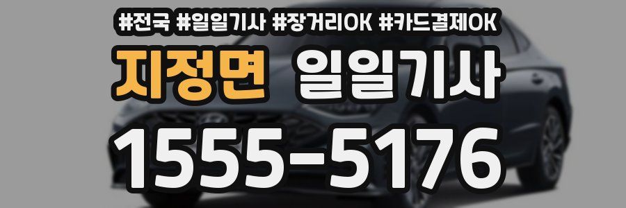 지정면 일일기사