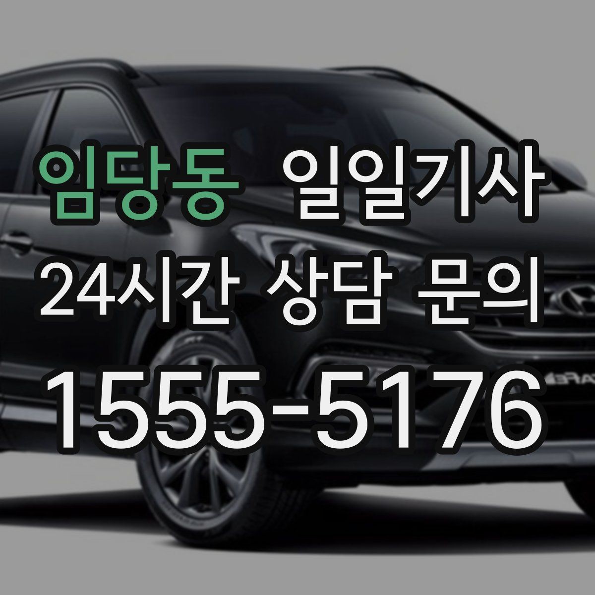 임당동 일일기사 도심 다중 경유 전담