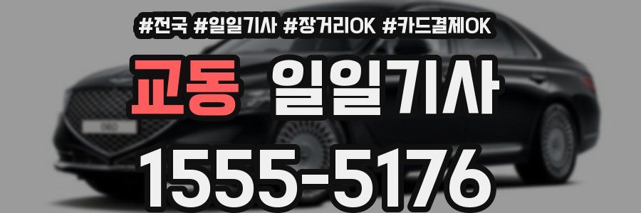 교동 일일기사