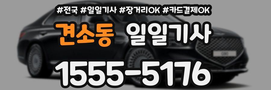 견소동 일일기사