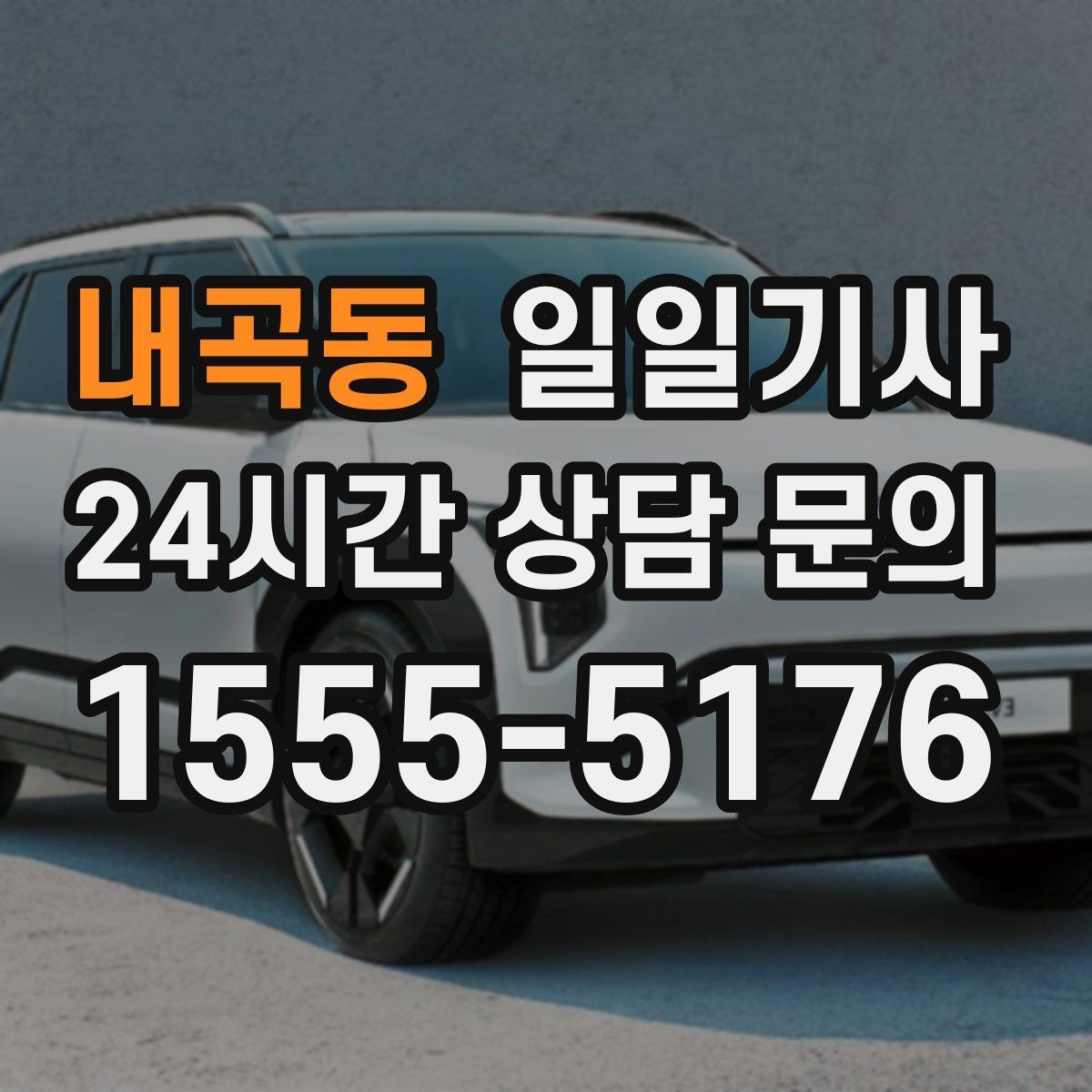 내곡동 일일기사 하루 전담 동행 서비스