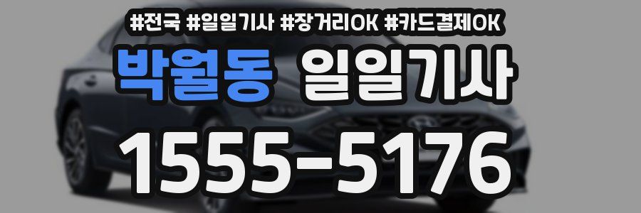 박월동 일일기사