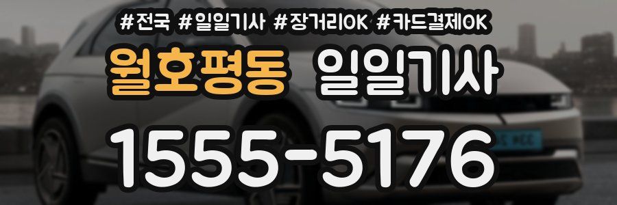 월호평동 일일기사