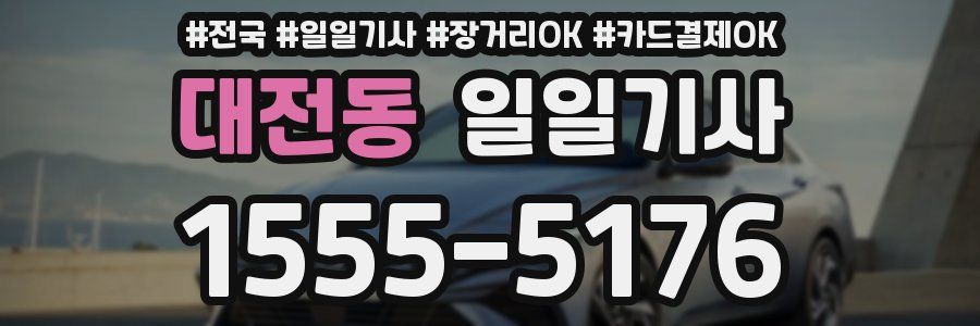 대전동 일일기사