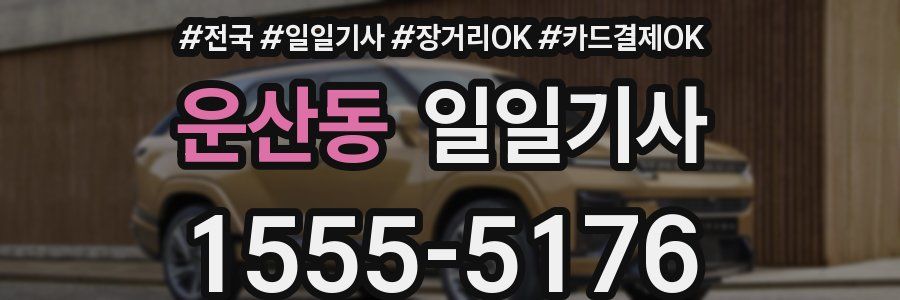 운산동 일일기사