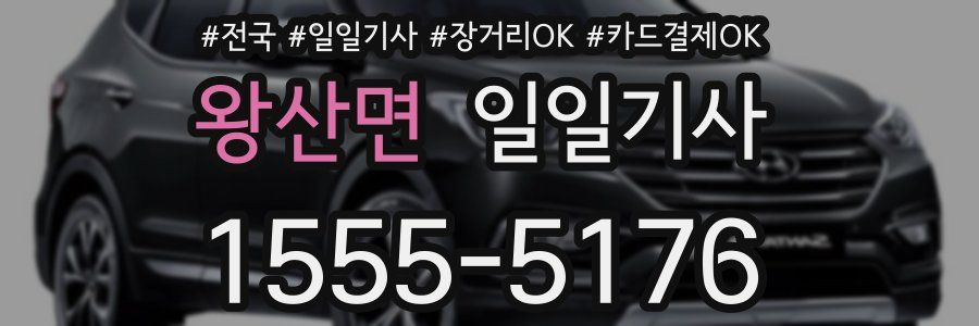 왕산면 일일기사