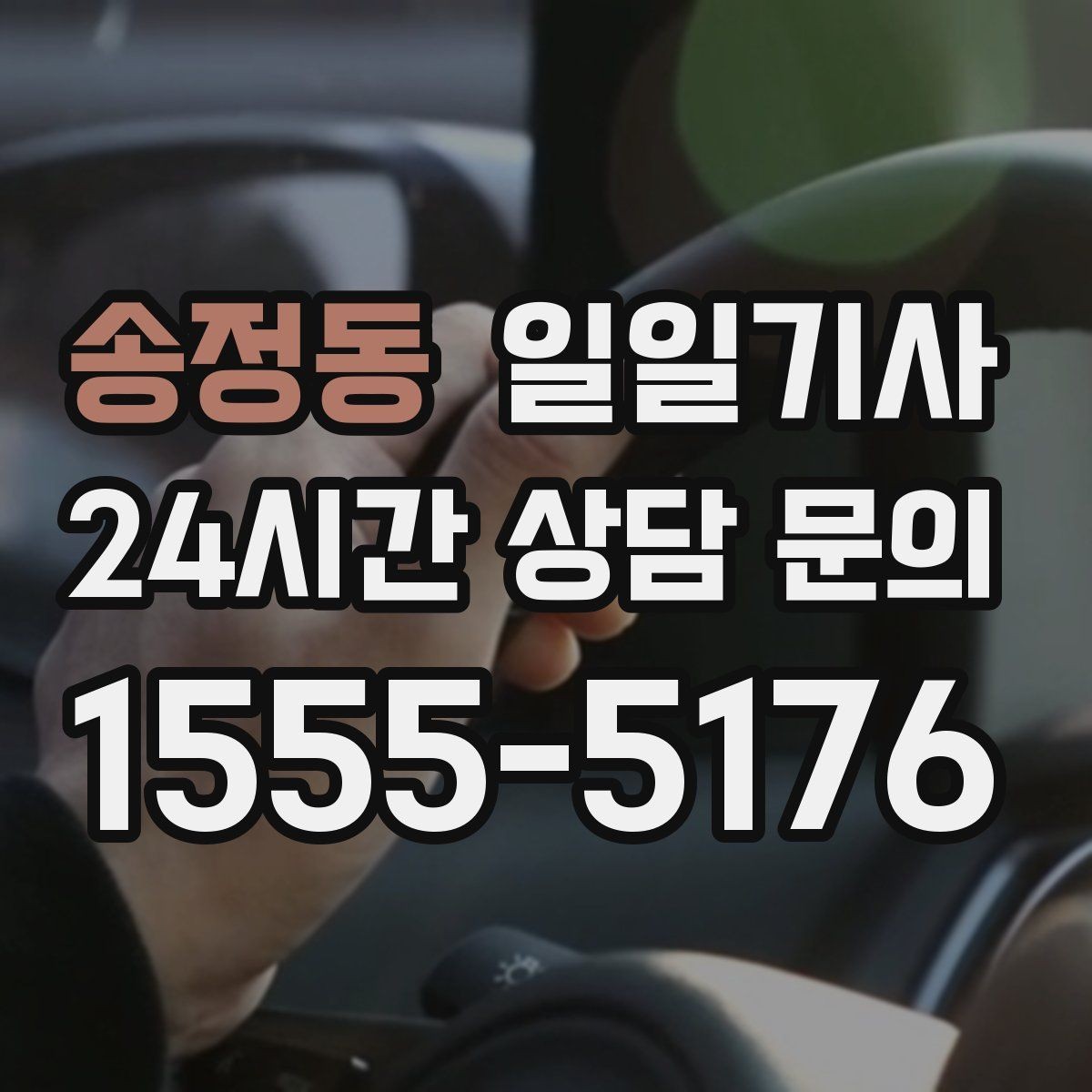 송정동 일일기사 오후 반일 동행으로 여유를 채우는 날