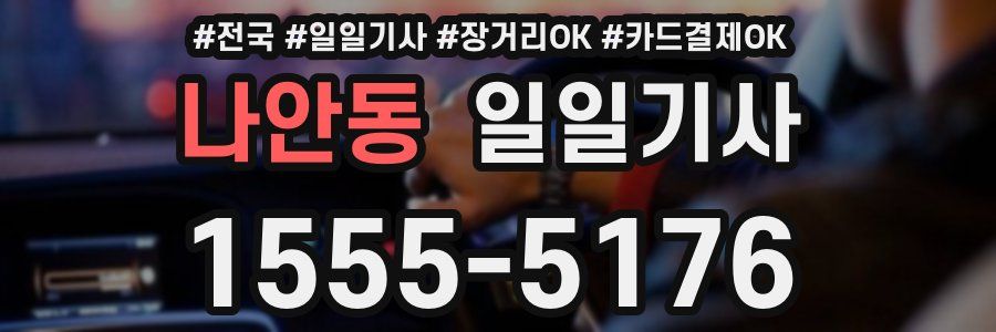 나안동 일일기사