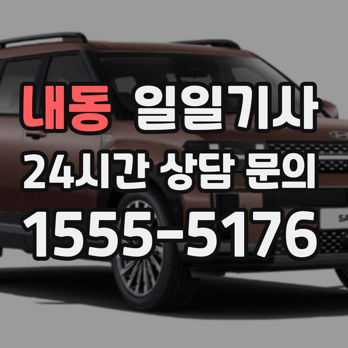 내동 일일기사 오후 반일 동행으로 여유를 채우는 날