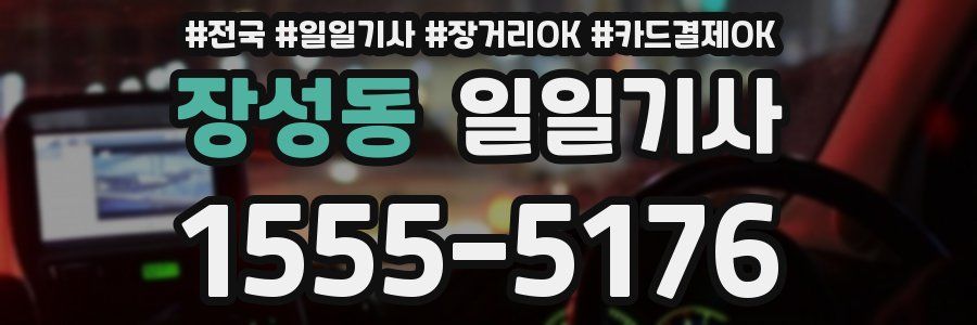 장성동 일일기사