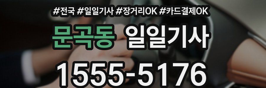 문곡동 일일기사