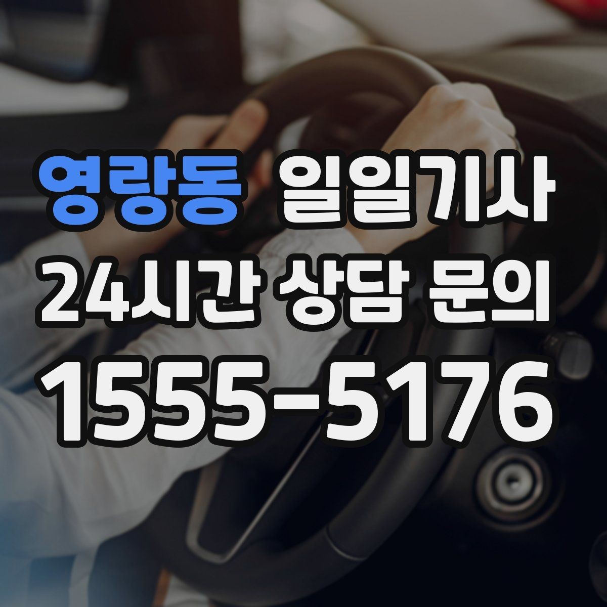 영랑동 일일기사 내비 의존 넘어선 현장 감각