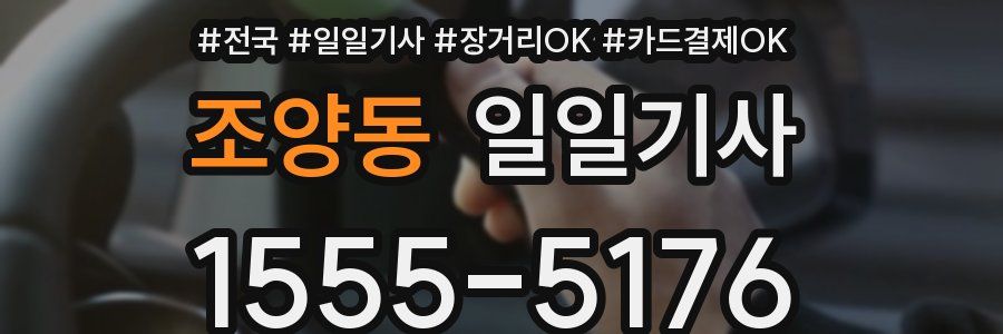 조양동 일일기사