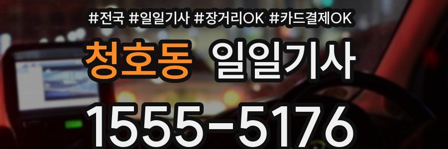 청호동 일일기사