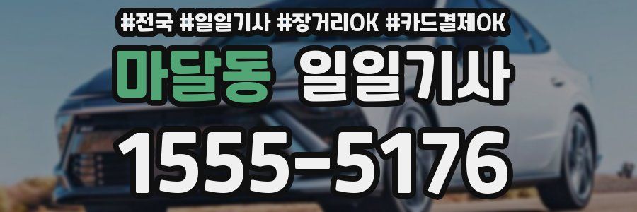 마달동 일일기사