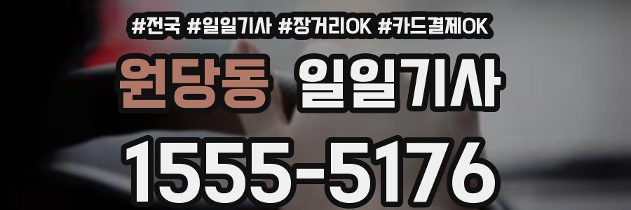 원당동 일일기사