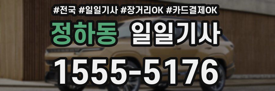 정하동 일일기사