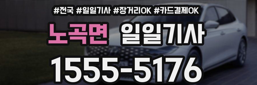 노곡면 일일기사