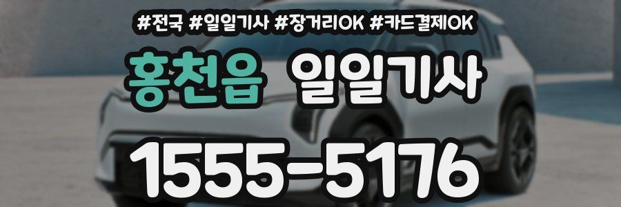 홍천읍 일일기사