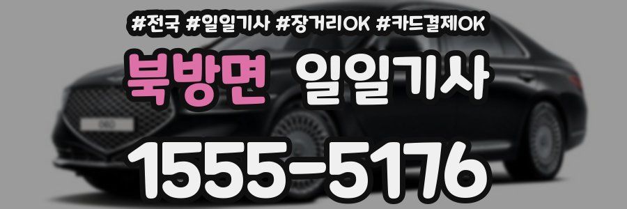 북방면 일일기사